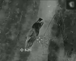 "Дронарі вже натреновані": у ЗСУ розповіли, як вираховують росіян в "плащах-невидимках" (відео)