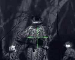 Враг в прицеле: в РДК показали, как пробрались в тыл ВС РФ (видео)