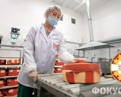 Экспорт украинского сыра в Россию полностью восстановлен