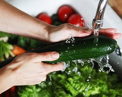 Германия восстановит репутацию испанским огурцам