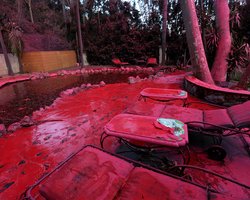 Лос-Анджелес став рожевим після пожежі: у чому справа (фото, відео)