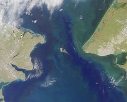 Радикальный шаг для людей: ученые призвали срочно закрыть Берингов пролив (фото)