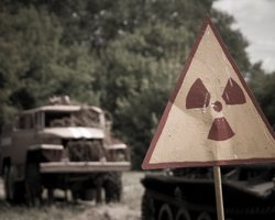 У Чорнобильській зоні відчуження роками вирощували пшеницю та кукурудзу: є загроза для людей