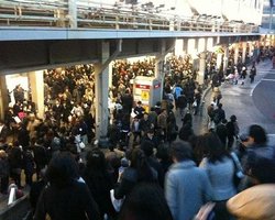 После землетрясения в Японии число суицидов резко выросло