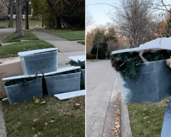 Женщина гуляла в богатом районе и нашла "мусор" на тысячи долларов (видео)