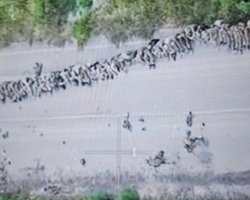 Инициатива должна быть за Украиной: Зеленский назвал "результативными" прошедшие 3 суток (видео)