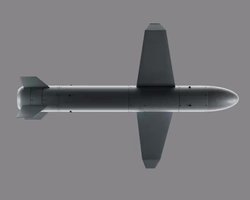 Первое применение ракеты-дрона "Паляниця" было по военной цели в Крыму, — СМИ