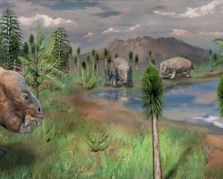 Миллионы лет назад массовое вымирание уничтожило жизнь на Земле: одной группе удалось выжить