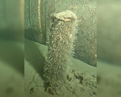 Загадковим предметом біля "Північного потоку-2" виявився димовий буй (фото)