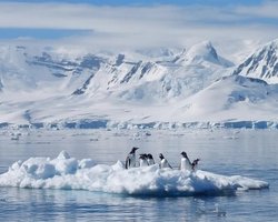 Під льодами Антарктиди похований стародавній гігант: на нього вказали загадкові рожеві камені (фото)