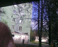 Милиция задержала еще пятерых участников группировки, причастной к убийству одесских милиционеров