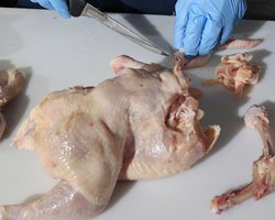 Россия присоединится к казахскому расследованию потенциально опасной курицы