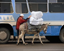 Карта мира. Колеса Востока. Марокканский транспорт как достопримечательность 