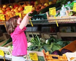 Еврокомиссия выступила против запрета России на ввоз овощей 