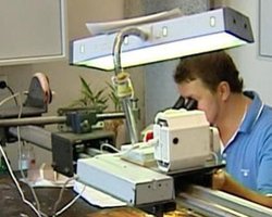 Портрет Рембрандта, приписываемый его ученику, написан самим мастером