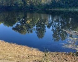 Загрязнение Сейма: качество воды в реке постепенно улучшается, — центр контроля Минздрава