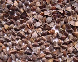 Азаров: дефицита гречки не будет