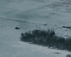 Отомстили за 9 казненных пленных: ВСУ разгромили морпехов РФ под Курском, — Forbes