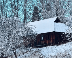 Украинка купила гнилой дом вдали от цивилизации, но ей все завидуют (фото)