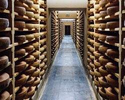 Мистический сыр. Как буковинец стал лучшим сыроваром Европы