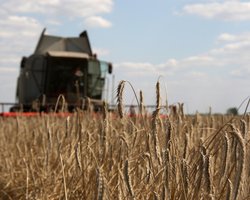 "Противоречат духу и букве договоренности": РФ выдвинула условия для возобновления зерновой сделки