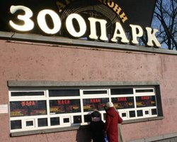 В Киевском зоопарке назвали причину смерти бизона Вии