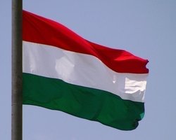 Посольство Украины в Венгрии частично возобновило консульский прием