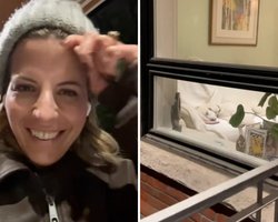 Собаке не разрешают спать на диване: сеть покорило то, что неожиданно разоблачили владельцы (фото)