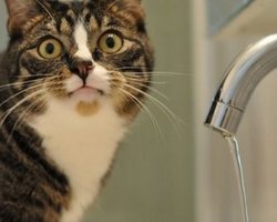 Населению поднимут тарифы на воду, - СМИ