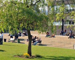 20% украинцев воспринимают вузы как убежище от армии  