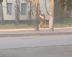 В Кривом Роге сотрудник ТЦК избил отца мобилизованного: полиция проводит проверку