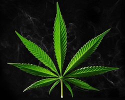 В Варшаве задержаны 40 участников Марша освобождения конопли