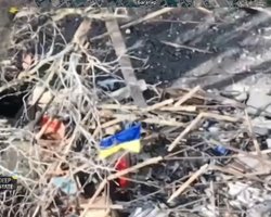 "На 95%": бойцы ВСУ выбили ВС РФ из села Богатырь и вернули флаг, — DeepState (видео)