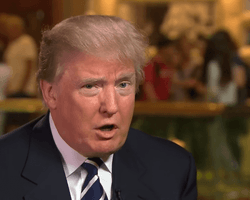 "Вы позор": Трамп во время интервью по поводу манифеста стрелка возмутился вопросами журналистки