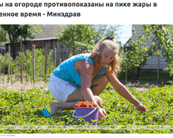 Как не перегреться... на огороде. О чем пишут белорусские госСМИ во время протестов