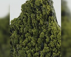 На вершине горы в Турции нашли "окаменевший лес": минерал похож на застывшие деревья (видео)