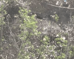 Земля не приютила: операторы ССО применили БПЛА и уничтожили россиян в траншеях (видео)