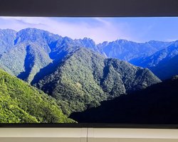 Найкращі OLED телевізори 2025 року: три неочікувані моделі, які вразили під час тестувань