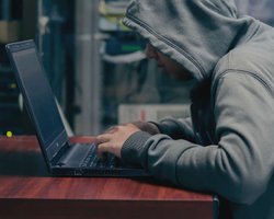 Хакеры пытаются обвинить ССО ВСУ в атаке на сайты ведомств 14 января, - Госспецсвязь