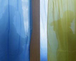 На избирательных участках в Чехии больше всего голосов получила ВО Свобода