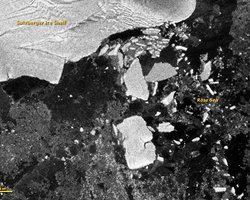 Землетрясение в Японии откололо от Антарктиды огромные айсберги