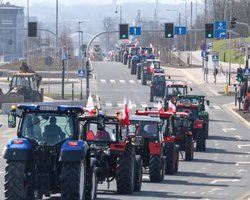 Торговля с ЕС прекращается: что будет с курсом гривны в случае отмены торгового безвиза