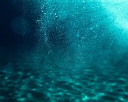 Самое странное месторождение газа в мире: скрыто под толщей воды и полно жизни (фото)