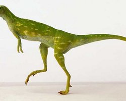 В Антарктиде обнаружены останки двух динозавров