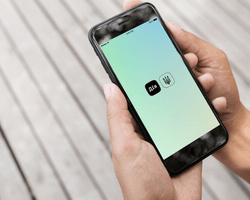 "Должен 50 тыс. грн по кредитам, которых не брал": украинец заявил о взломе "Дія" и BankID