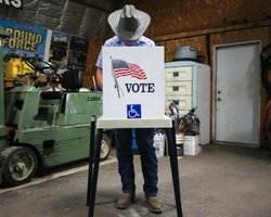 Выборы в США: Трамп заявил, что демократы пытаются "украсть" выборы