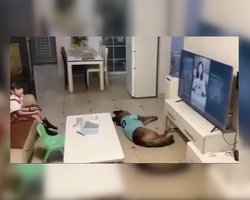 Батько залишив доньку вдома з собакою: побачене на камері здивувало його та мережу (відео)