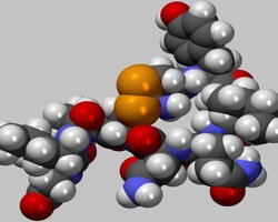 И. о. главы Минздрава рассказала о гормональном здоровье