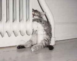 Отопление в Киеве отключат 15 апреля