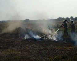 Под Киевом продолжают гореть торфяники